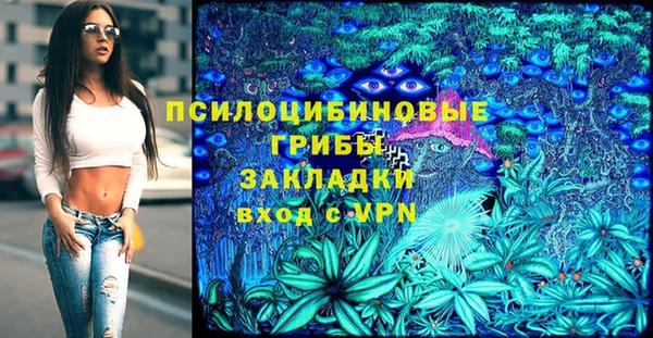 шишки Алексин