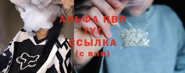 шишки Алексин