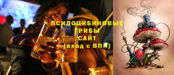 шишки Алексин